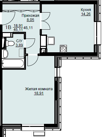 1-комнатная квартира 45.5 м² Соболевка